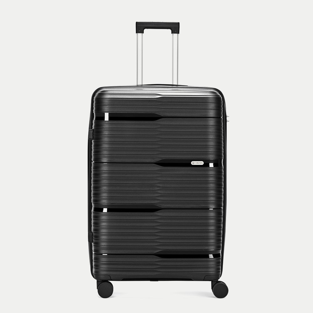 Carlton Alton suitcase